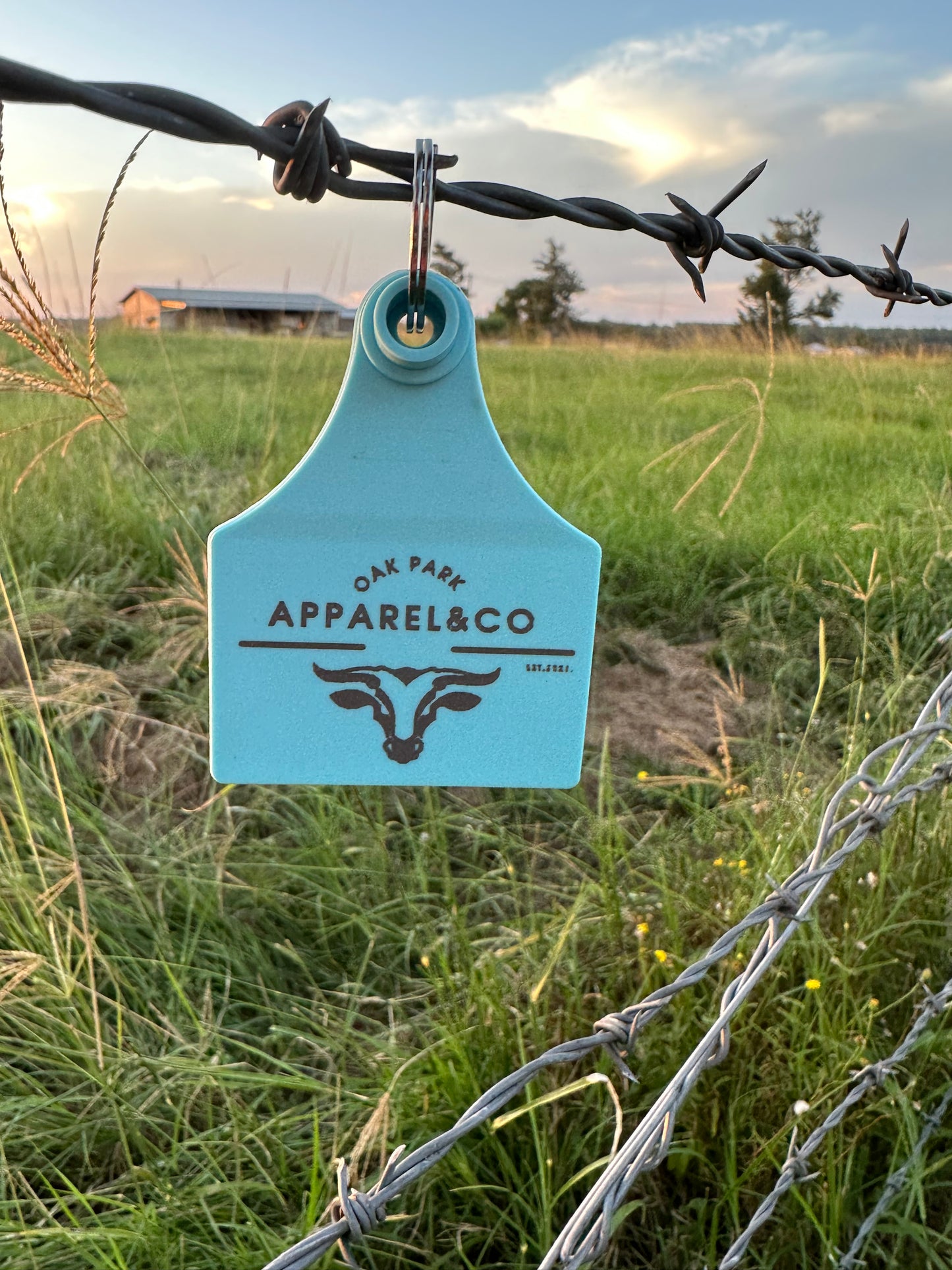 Cattle Tag Key Ring
