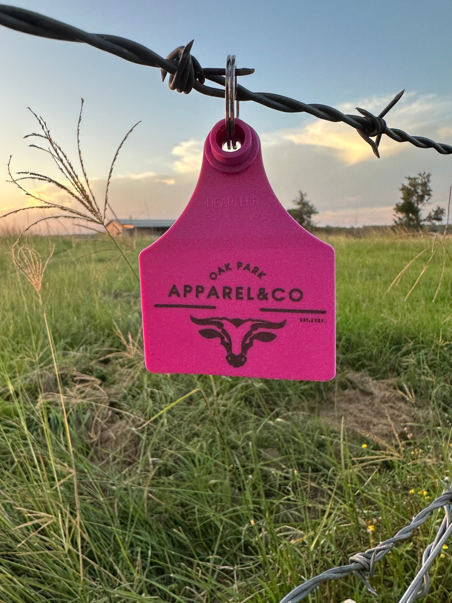 Cattle Tag Key Ring