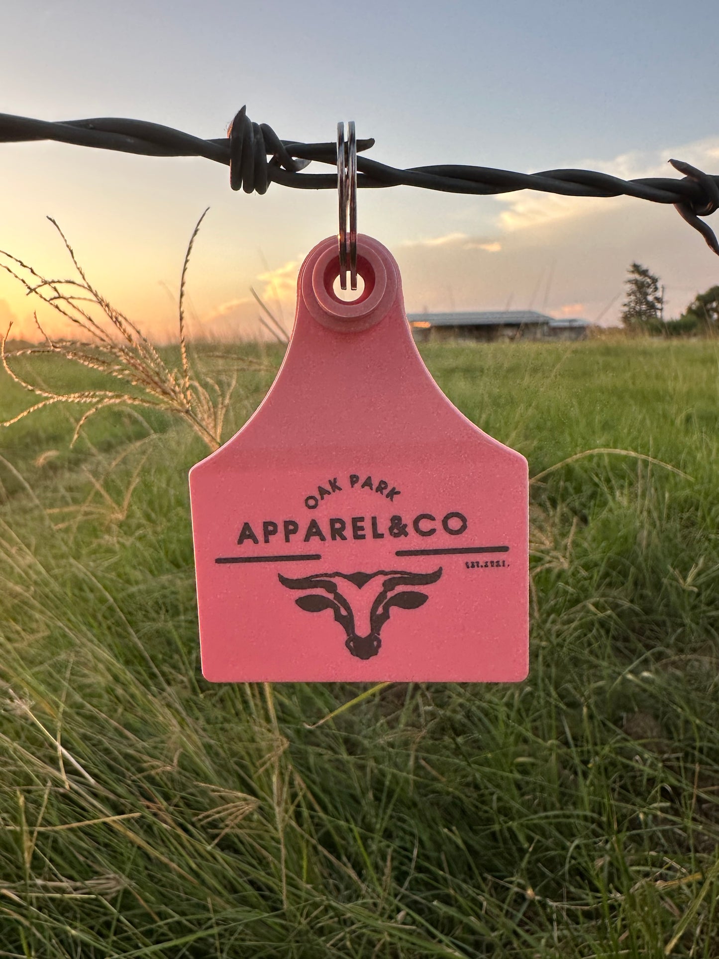 Cattle Tag Key Ring