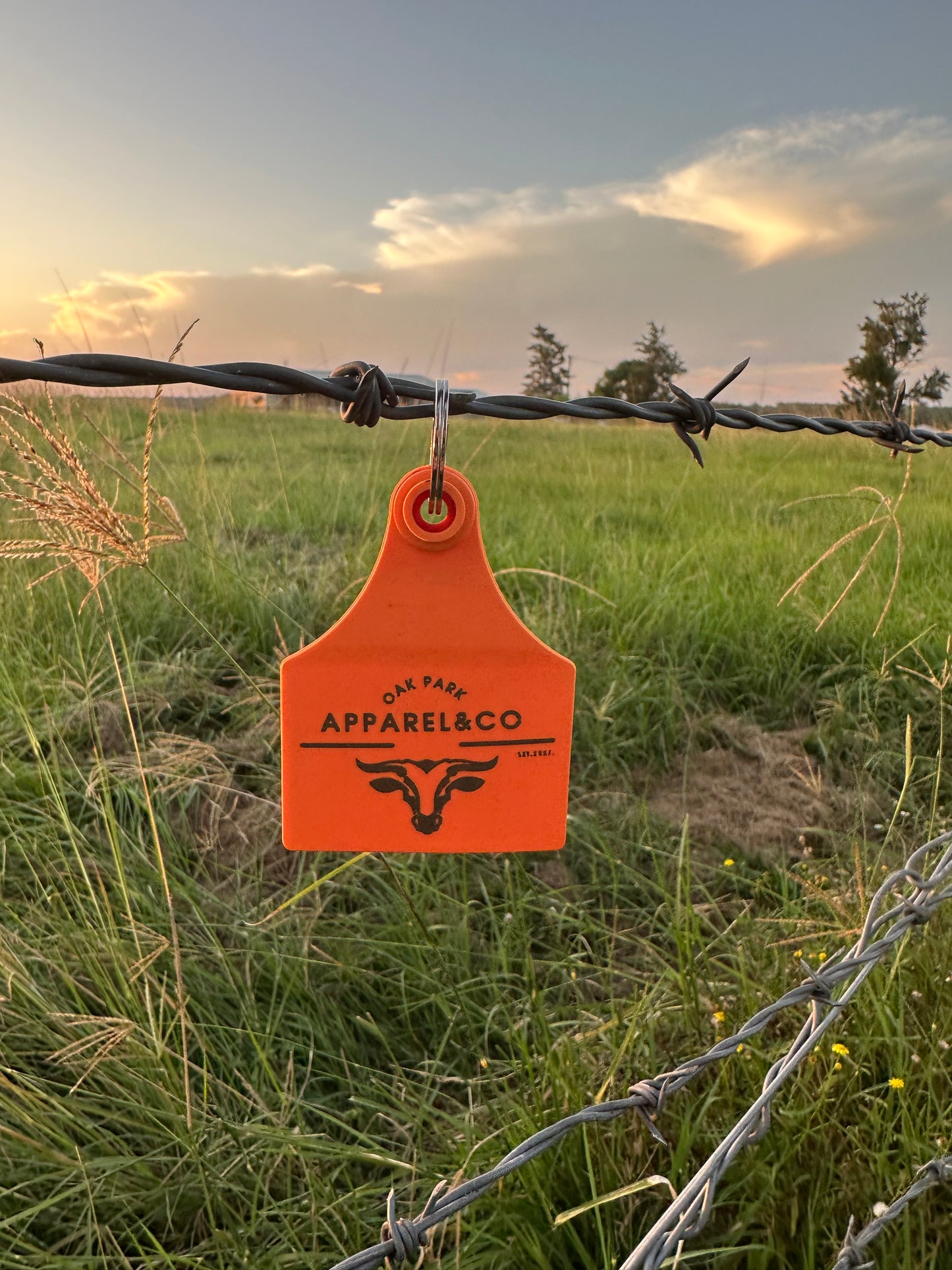 Cattle Tag Key Ring