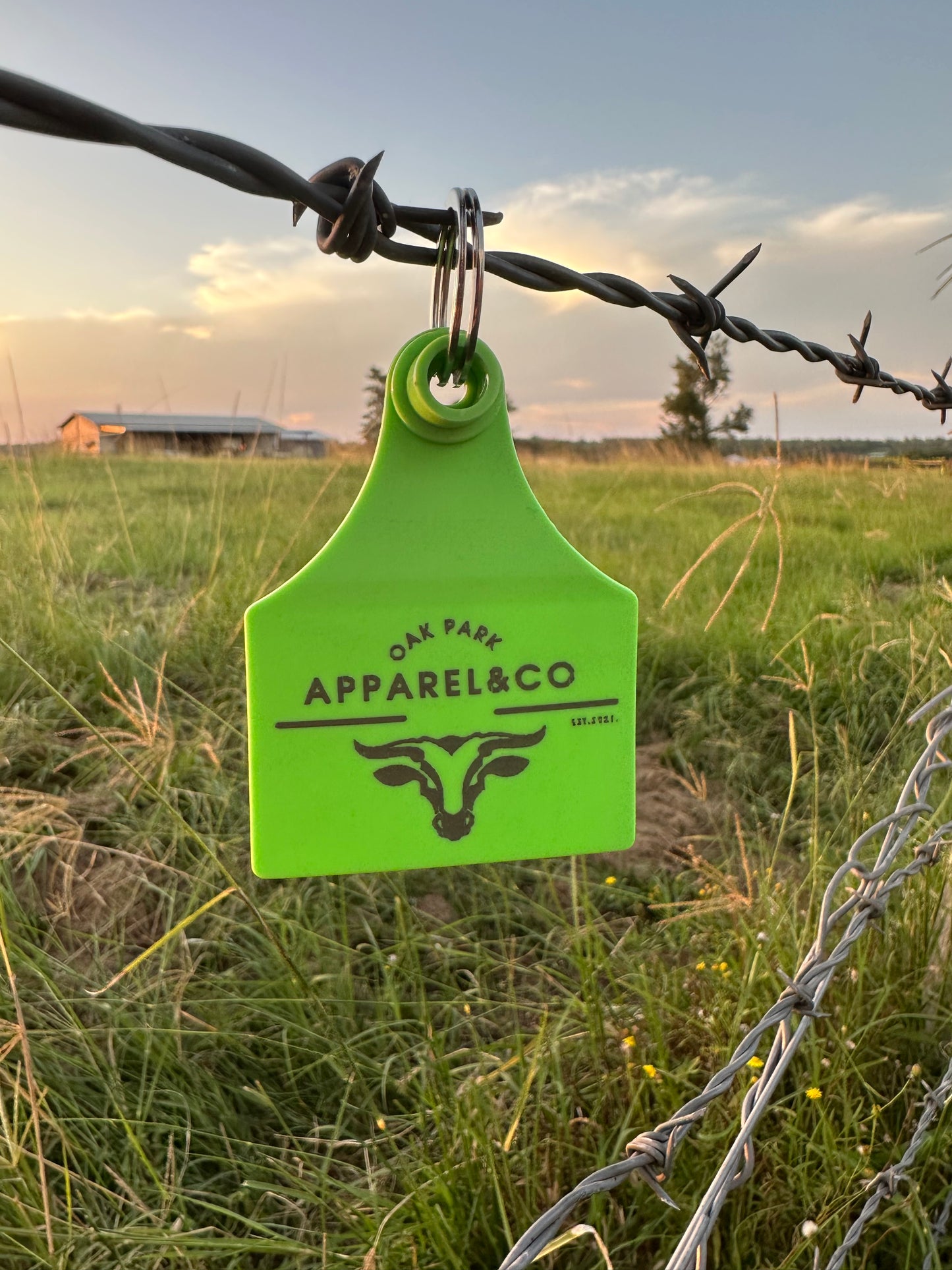 Cattle Tag Key Ring